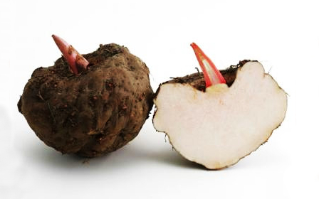 konjac powder